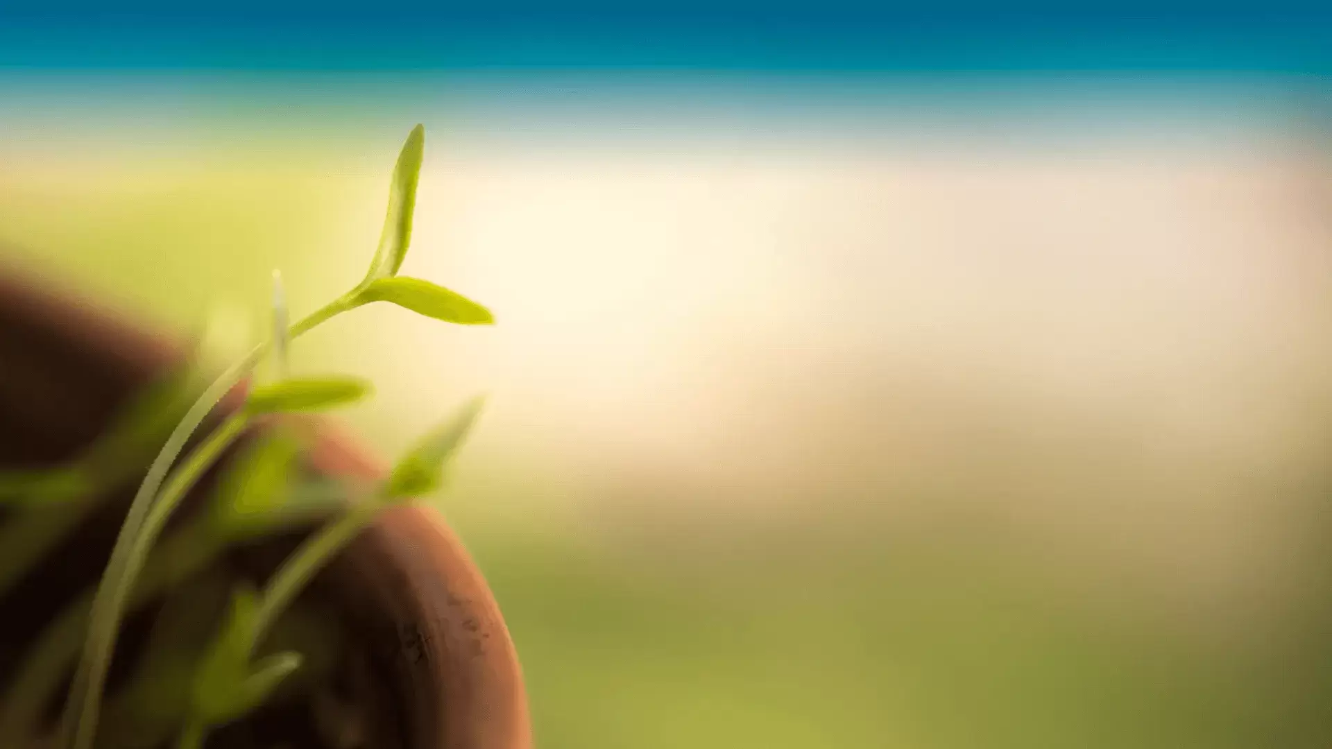 Big enough to lead Big enough to lead