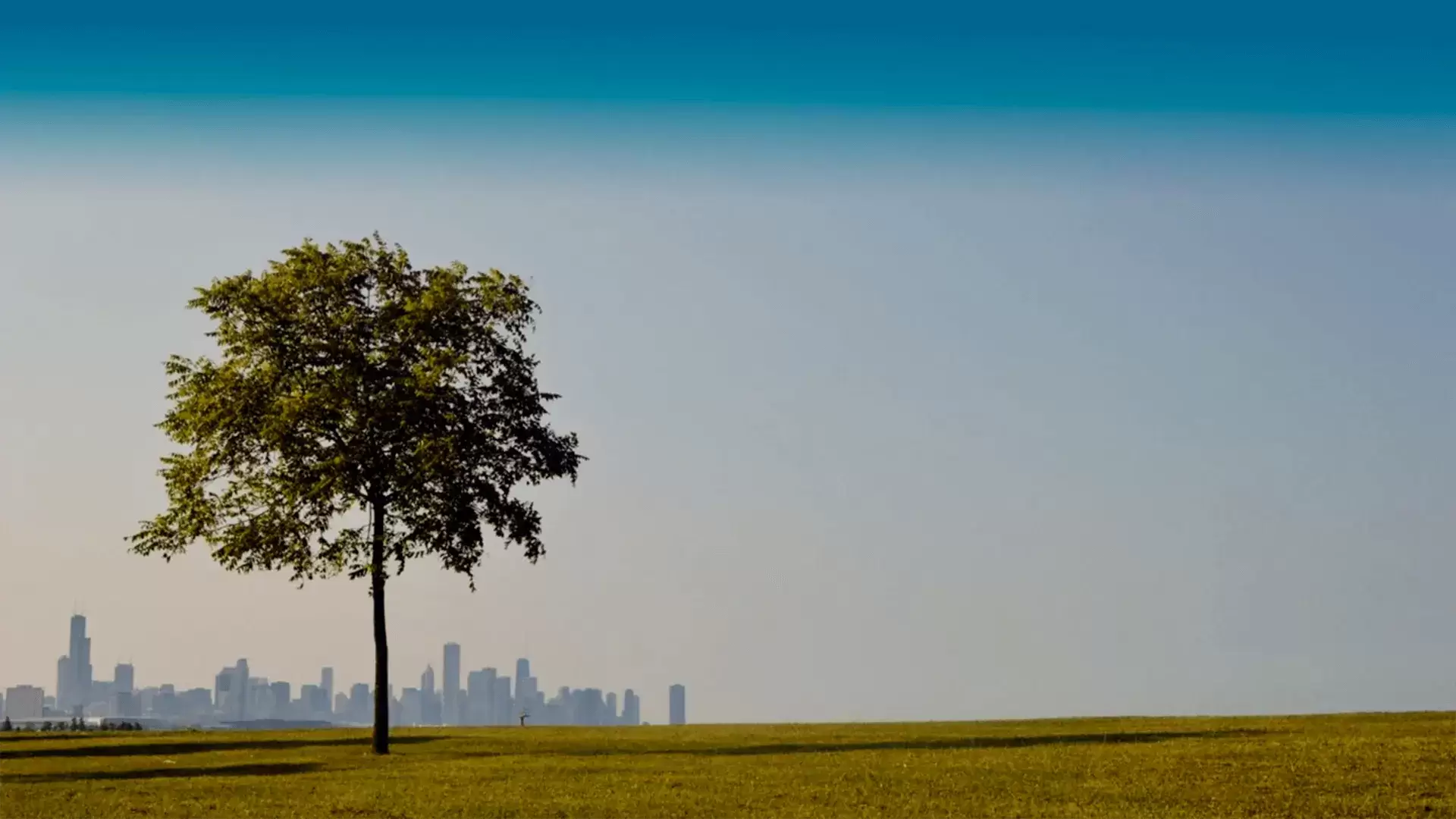 Local Roots National Results Local Roots National Results